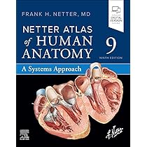 DVD 機能解剖マニュアル ATLAS OF HUMAN ANATOMY Amazon.co.jp: 人体解剖マニュアル コンプリートBOX [DVD] : グンター